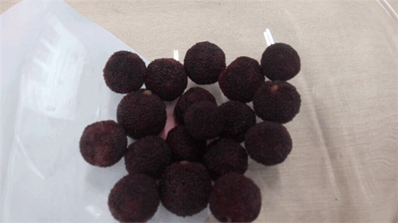 毅廷喇叭廠(chǎng)勇敢邁出第一步就是我們最大勝得 &mdash;牛商爭(zhēng)霸死黨互動(dòng)學(xué)習(xí)共成長(zhǎng)