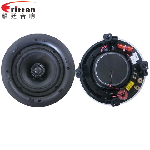 5.25寸天花吸頂式喇叭