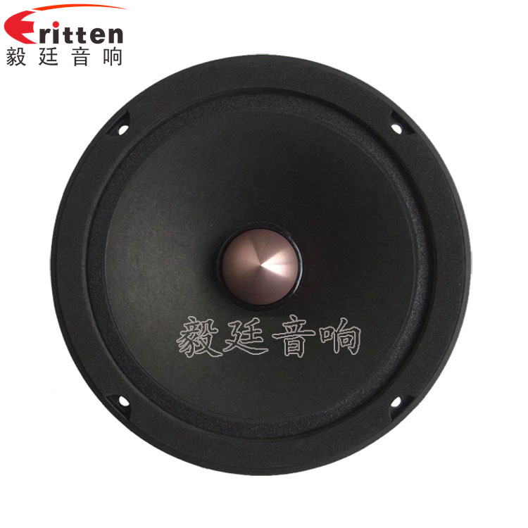 8''中低音舞臺(tái)音箱喇叭廠家正面圖