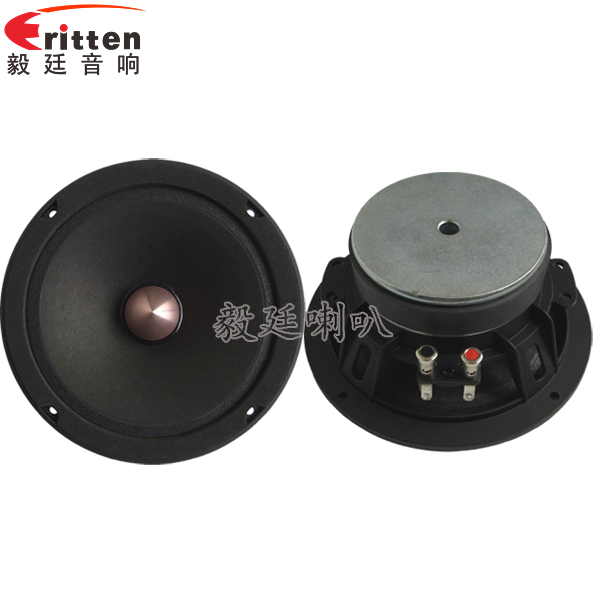 8''中低音舞臺(tái)音箱喇叭廠家正反面