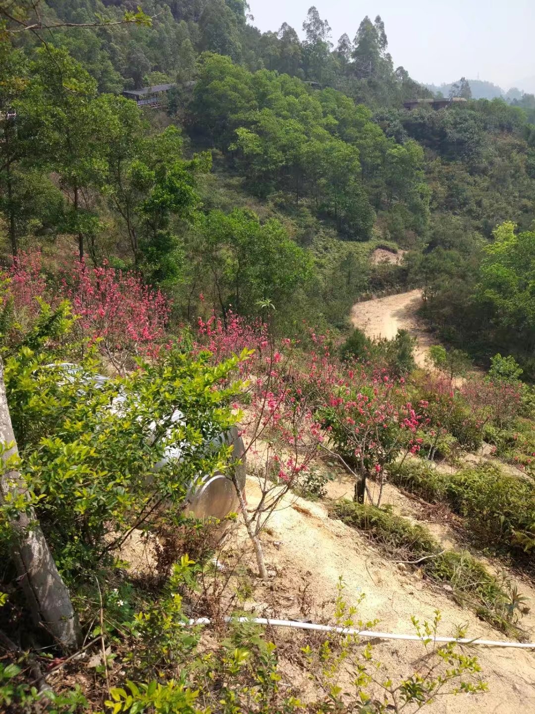 汽車(chē)音響改裝